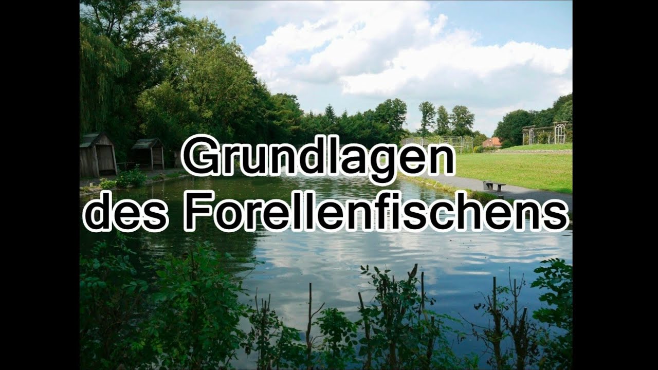 User-Video - Grundlagen des Forellenfischens