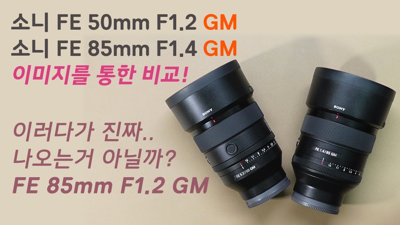 소니 FE 50mm F1.2 GM vs FE 85mm F1.4 GM 간단 비교