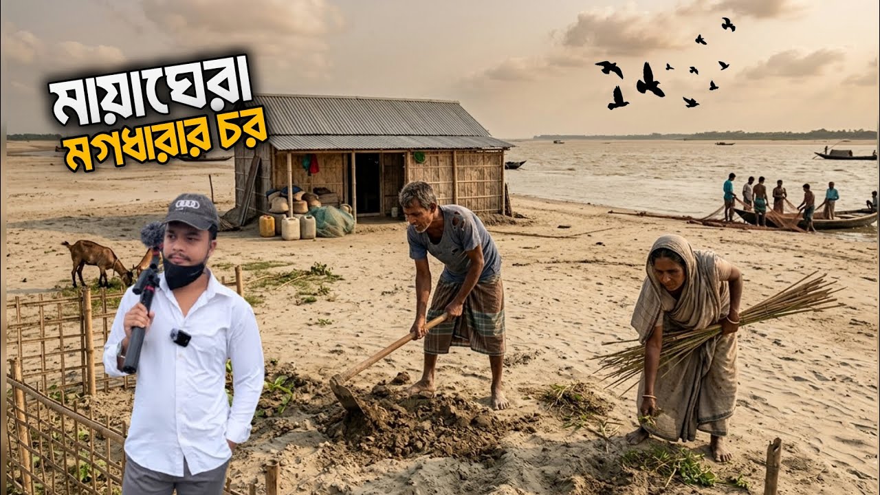 মায়াঘেরা গহীন দুর্গম চর | সন্দ্বীপ মগধারার চর | Lifestyle Of Char Sandwip | Village Life |