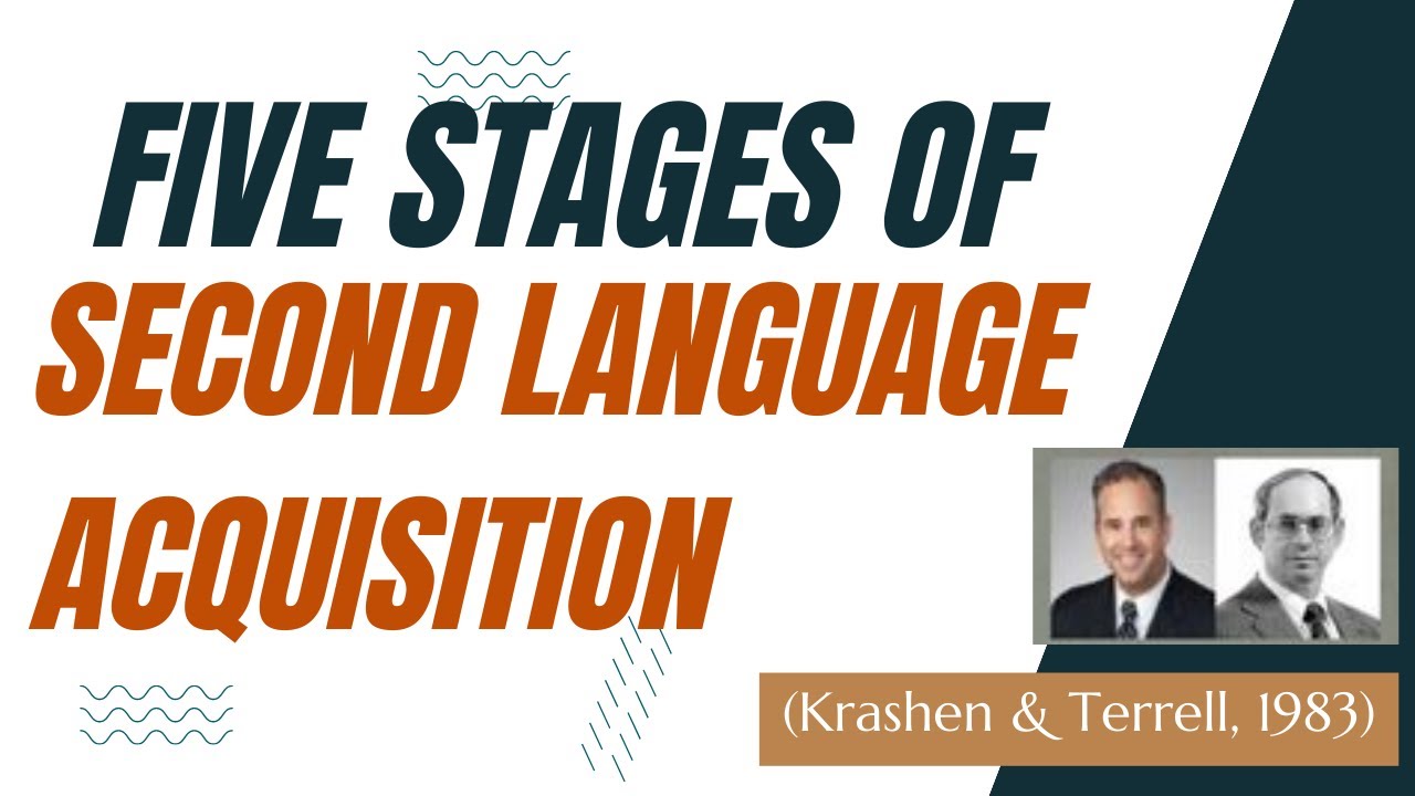 The Five Stages of Second Language Acquisition