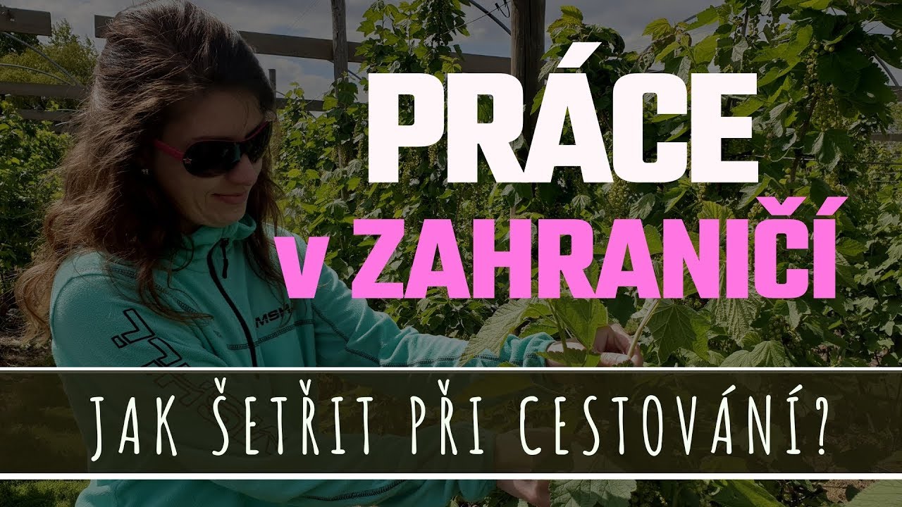 💰 PRÁCE v zahraničí / Jak šetřit během CESTOVÁNÍ? 💸