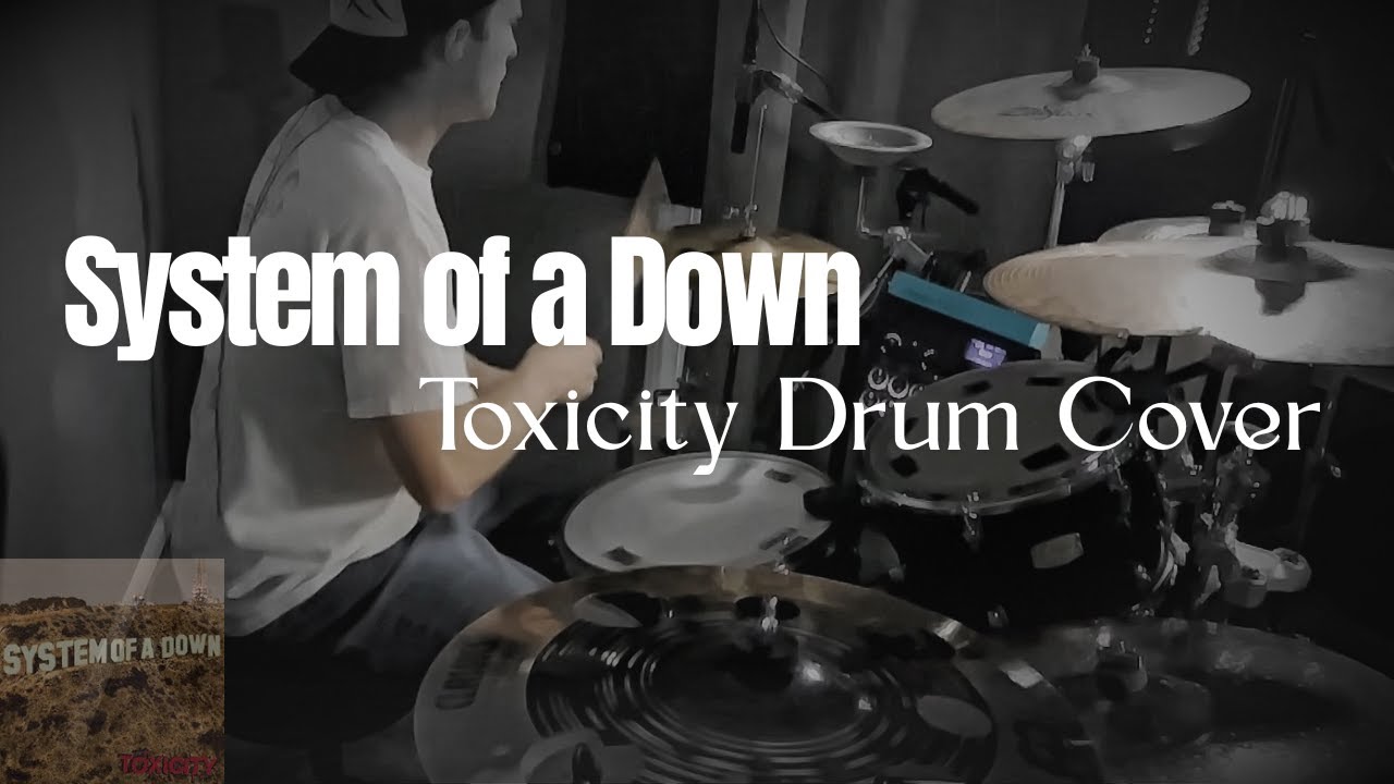 Toxicity - System of a Down - Reezy Drums - Drum Cover