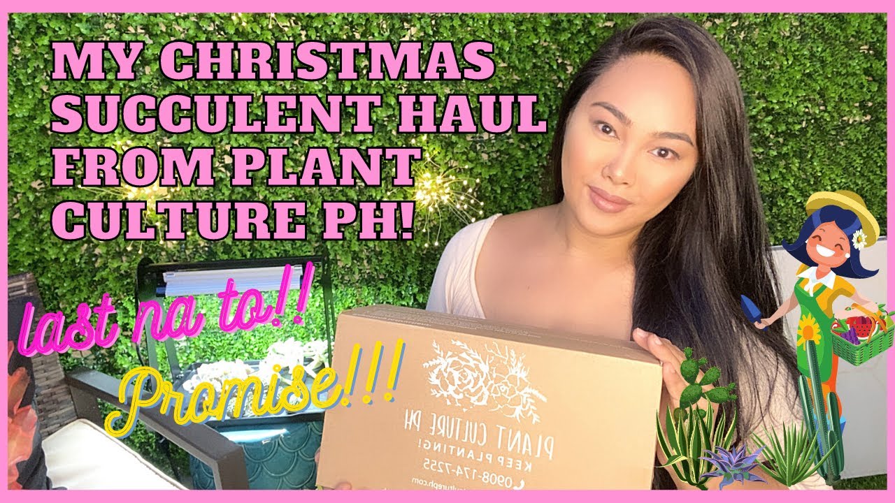 My Christmas Succulent haul from PLANT CULTURE PH!!