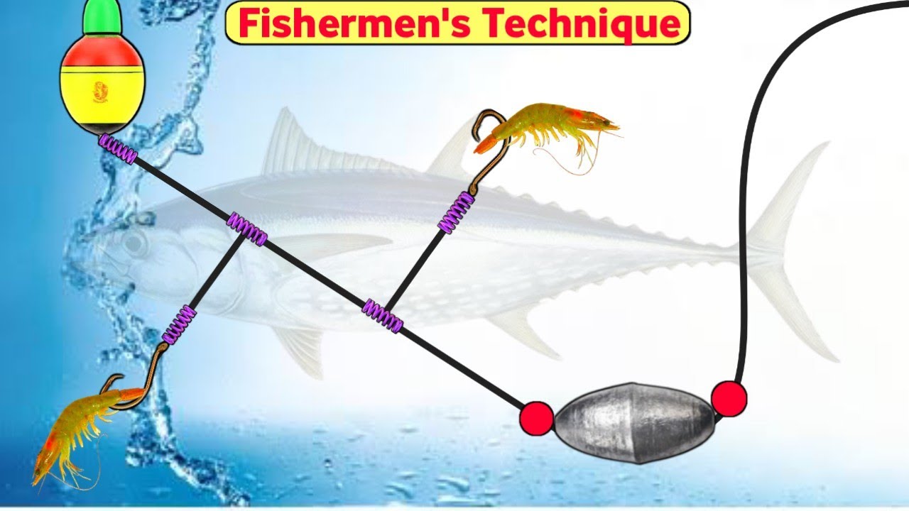 Fishermen's techniques for catching good fish - Bottom fishing