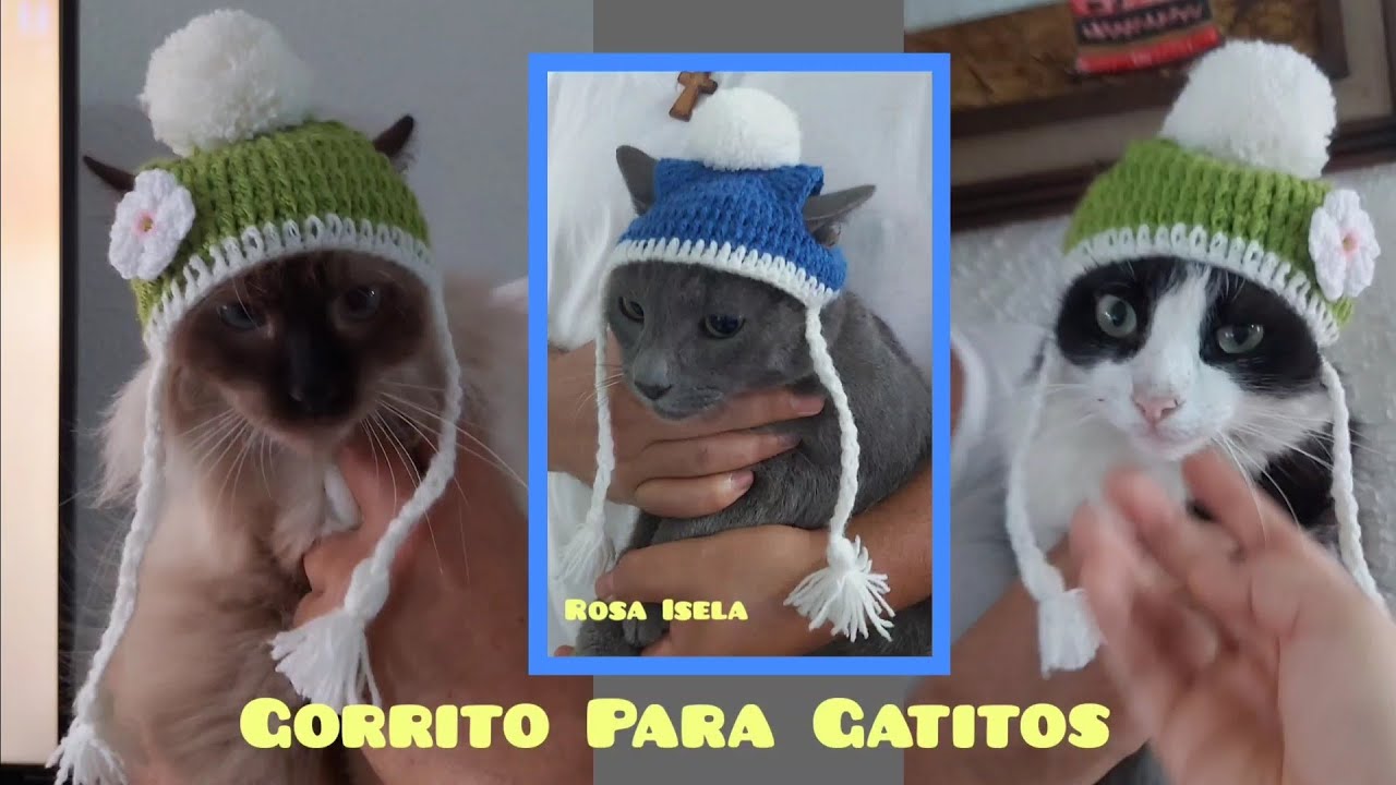 #1 Gorro Para Gatos y Perritos Tejidos en ganchillo #RosaIsela