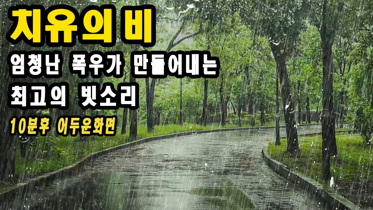 엄청난 폭우가 만들어내는 최고의 빗소리/ 당신의 불면증을 잊게 해주는 시원한 백색소음/ 10분후 어두운 화면