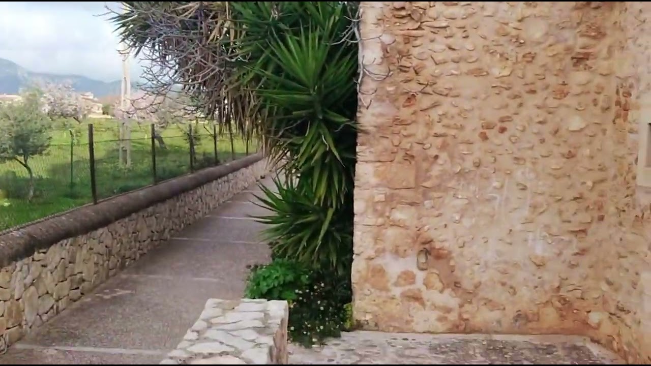 Sonidos del campo 