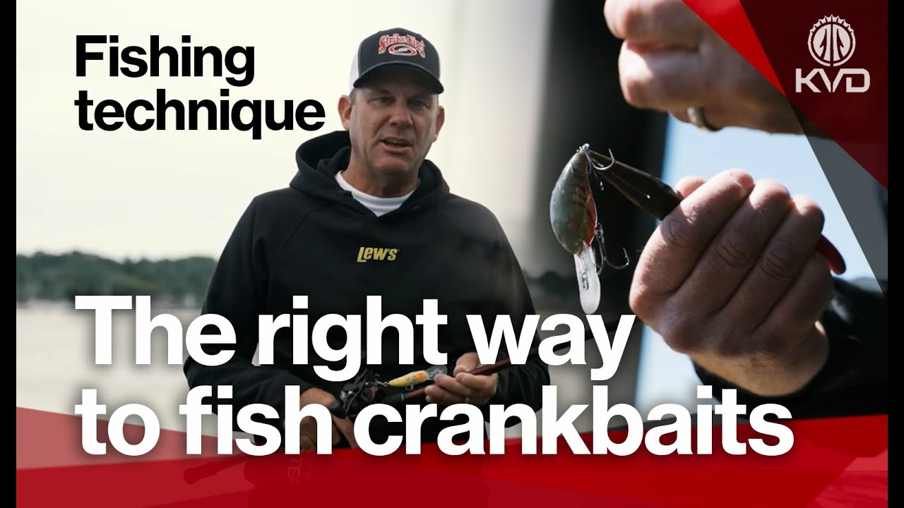 Ловля мелкоротого окуня в чистой воде &mdash; приманки, удилища, катушки и техника с KVD