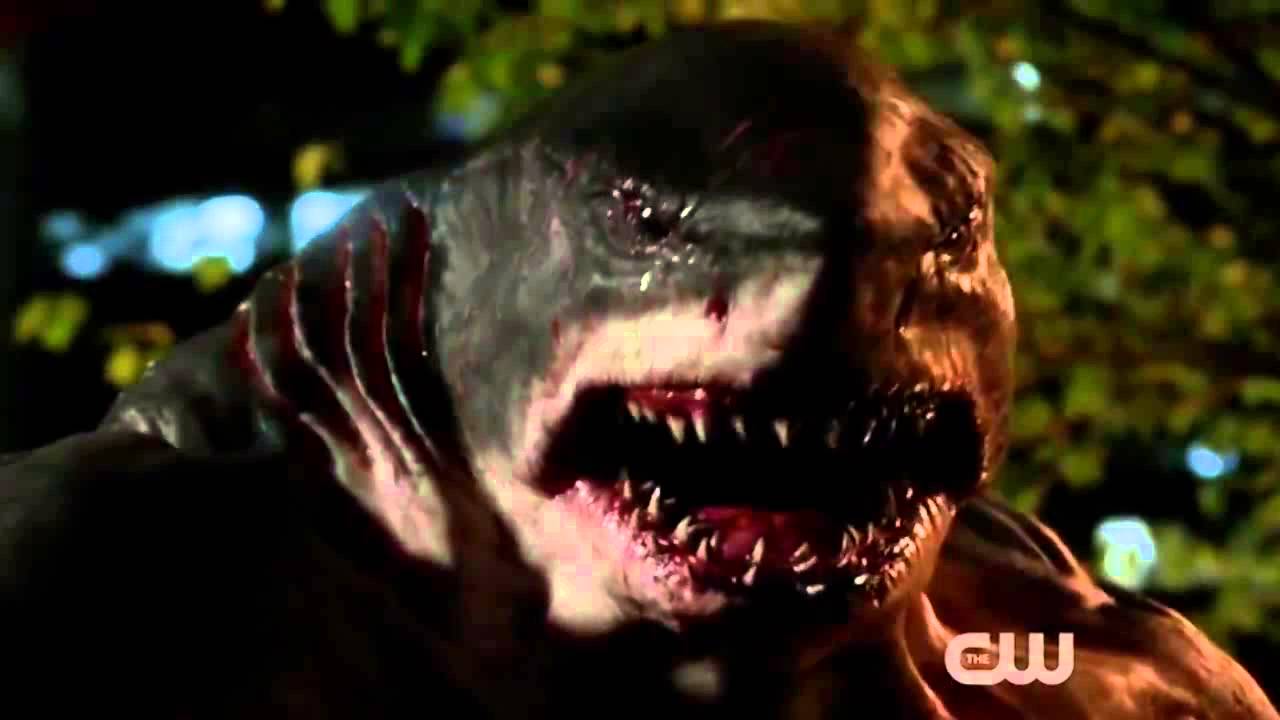 The Flash   First Appearance of King Shark   HD 2