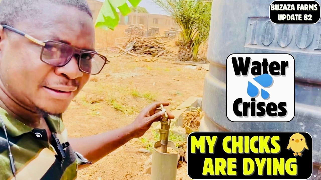 Ghana's Water Crisis: My Chicks Are Dying!