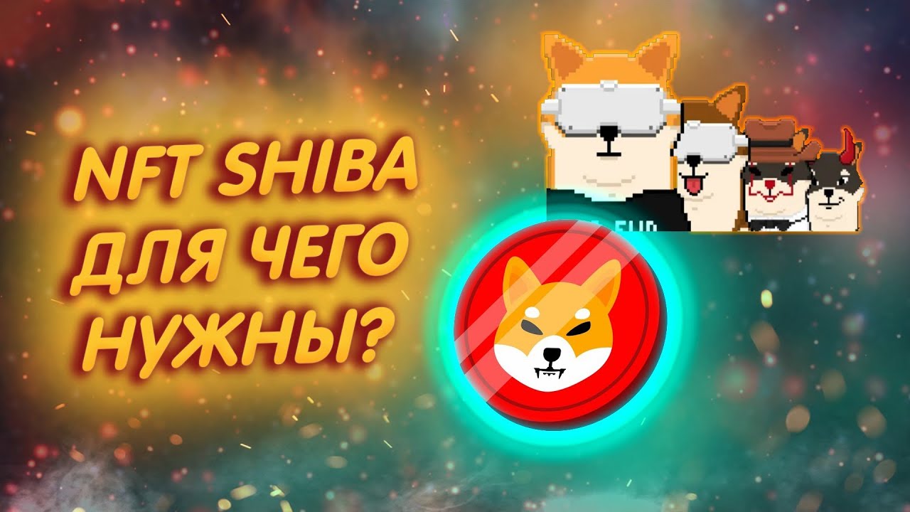 SHIBA INU: ДИРЕКТОР ШИБЫ РАССКАЗАЛ ЗАЧЕМ НУЖНЫ БУДУТ NFT SHIBOSHI!