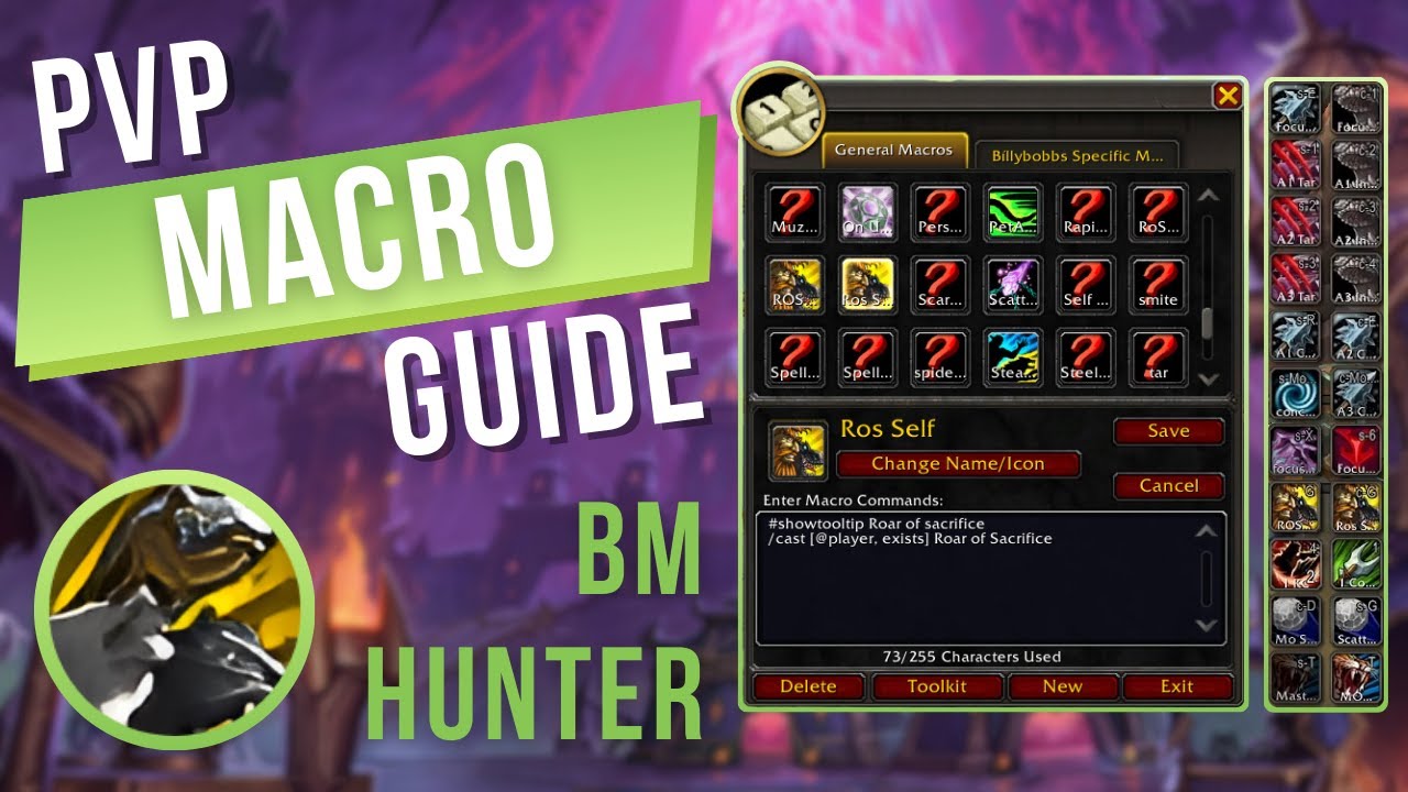 Beast Mastery Hunter - Macro Guide || WoW The War Within