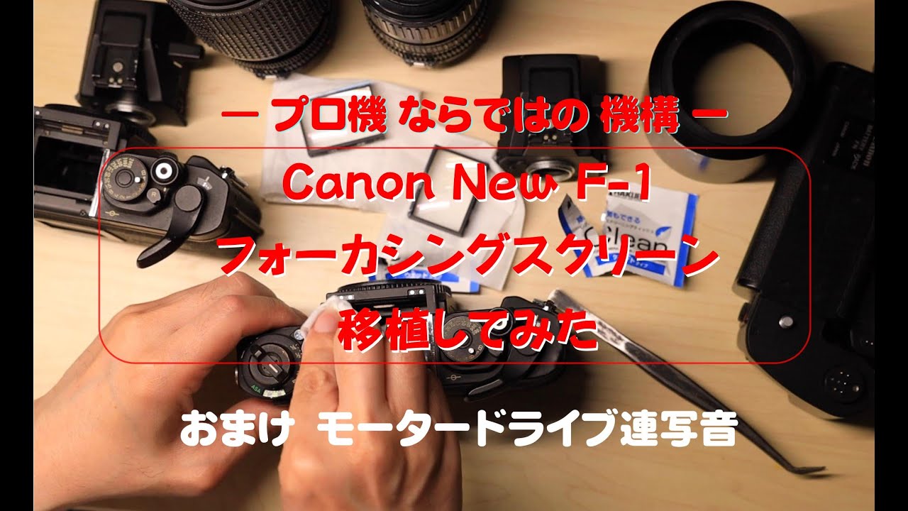 Canon New F-1 フォーカシングスクリーンを移植してみた  - プロ機ならではの機構 -