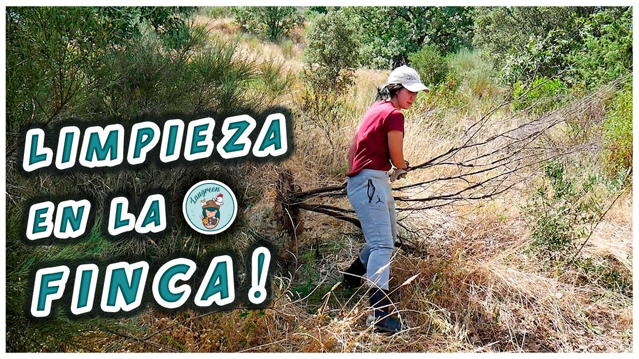 AVANCES y LIMPIEZA para VALLAR la FINCA! 🚜 Nueva Zona de Cambios