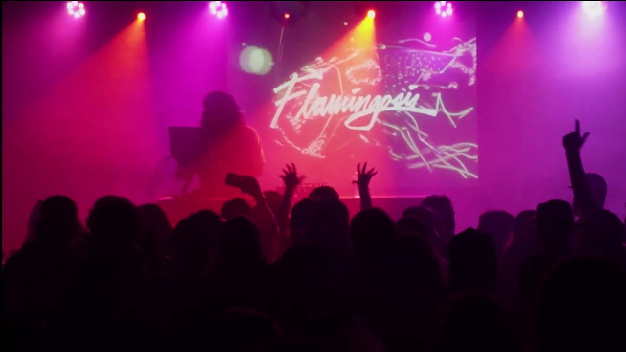 Flamingosis Live at Summit Music Hall
