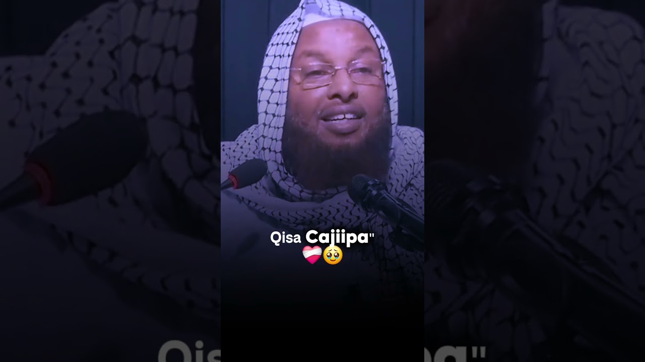 Qisa Cajipa