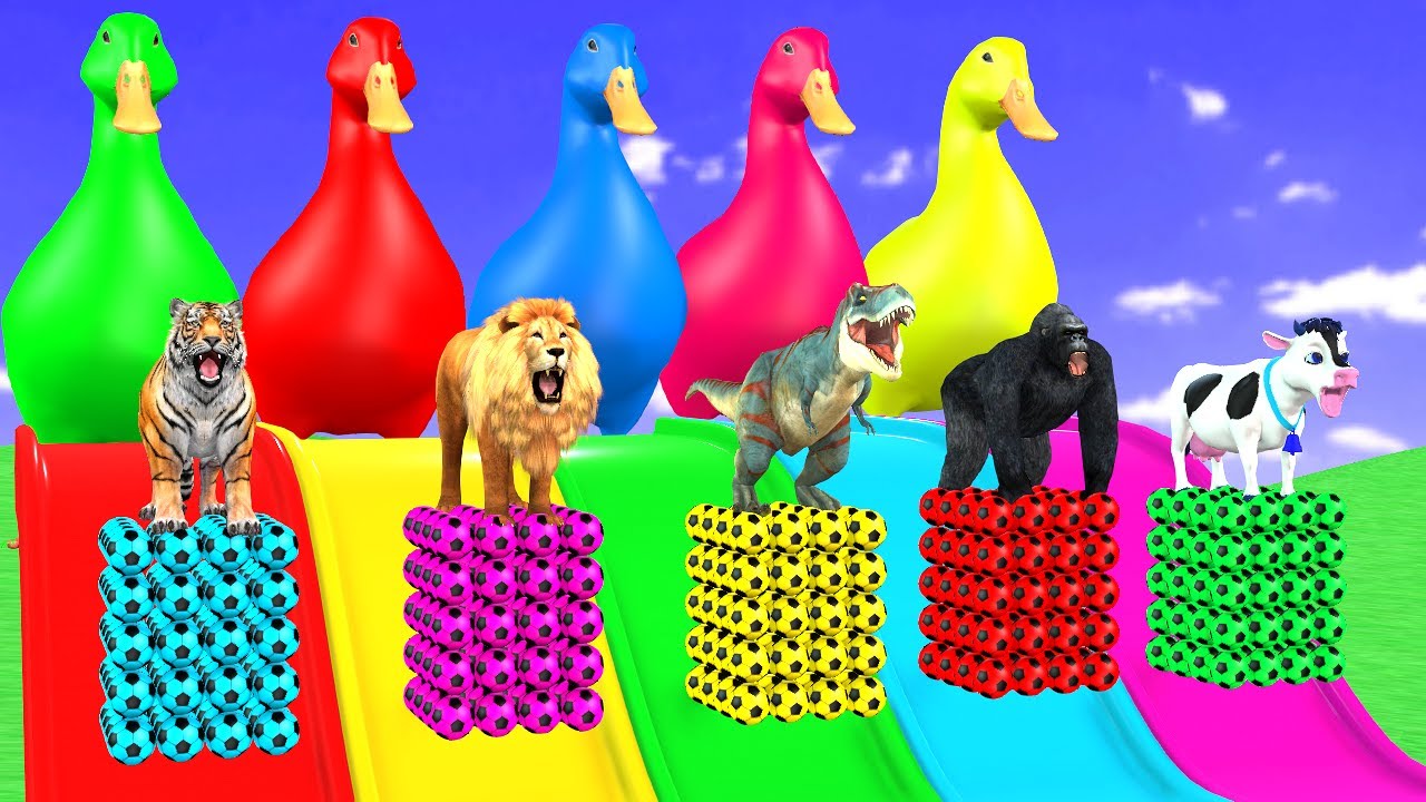 Long Slide Game With Cow Elephant Gorilla Hippopotamus Tiger - 3d Animal Game - Funny 3d Animals