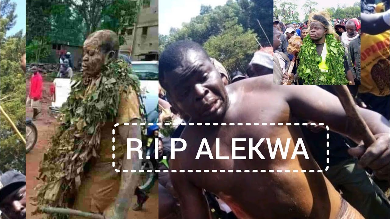 SEE THE LAST MOMENTS AND HOW ALEKWA LOVED BULLFIGHTING ALWAYS 😭😭