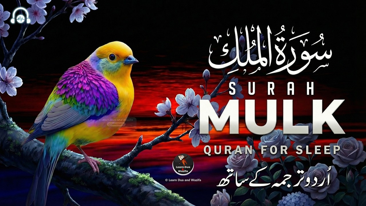Surah Al-Mulk سورة الملك | Deeply Relaxing Quran Recitation for Peaceful Nights #quranforsleep