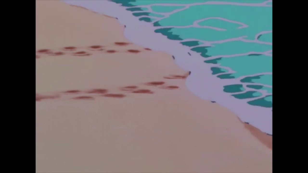 The Beach Boys - Don't Worry Baby (Slowed + Muffled)