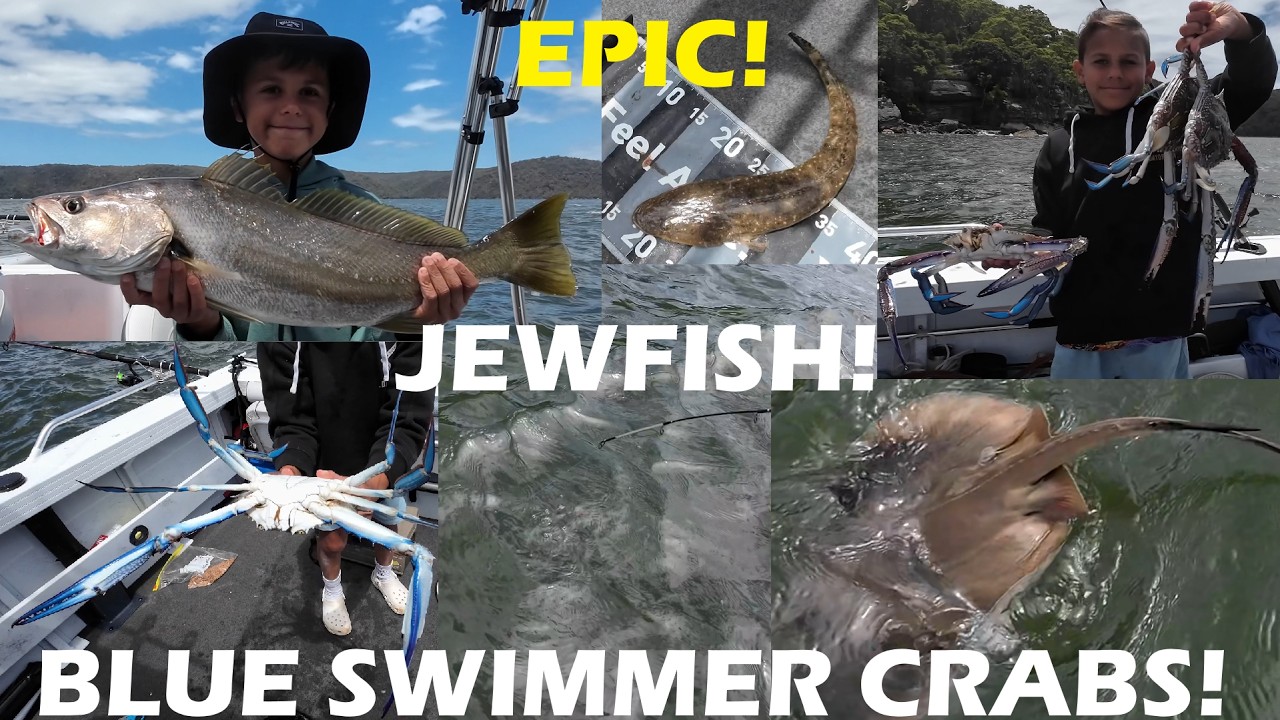 Hawkesbury River - JEWFISH, Blue Swimmer Crabs, Stingrays, Flatheads, Shovelnose & Bream - 23/1/2026
