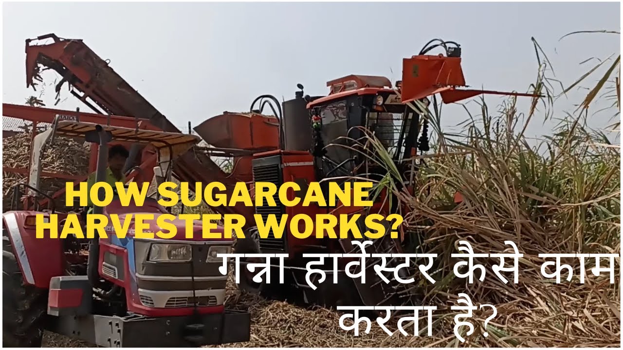 How Sugarcane Harvester Works? गन्ना हार्वेस्टर कैसे काम करता है? हिंदी में.