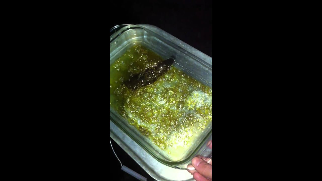 kushy kush
