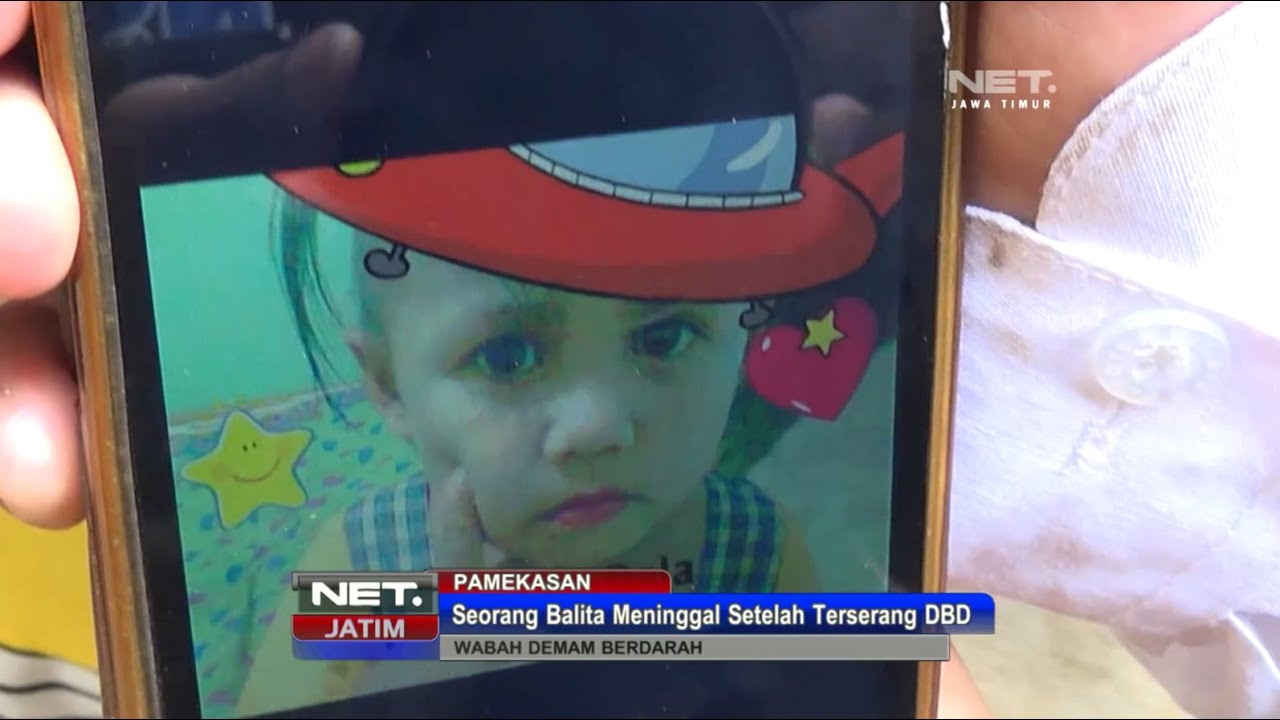 NET. JATIM - WABAH DEMAM BERDARAH