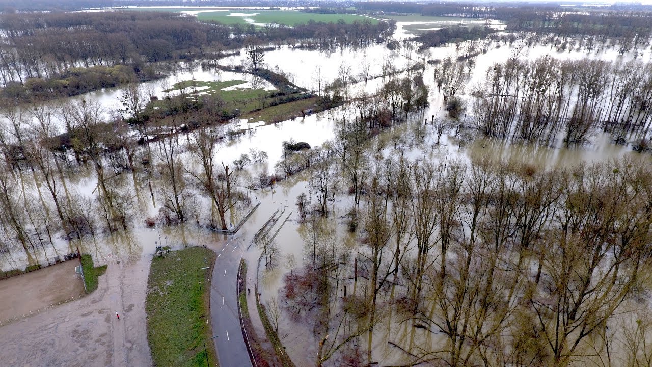 Januar-Hochwasser in D-Urdenbach