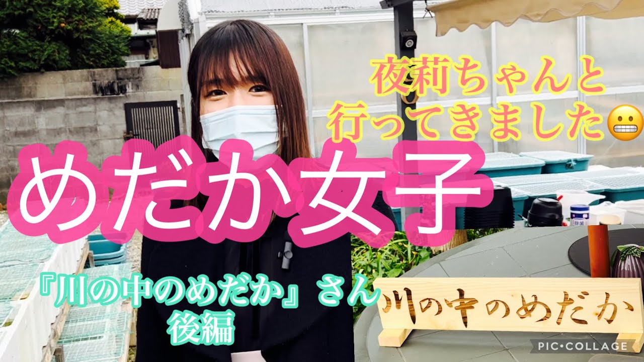 めだか女子　夜莉ちゃんと行ってきました😬『川の中のめだか』さん　後編