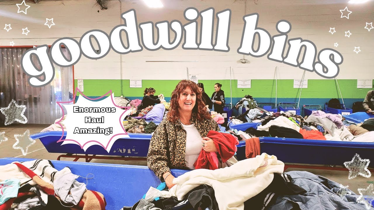 A Little Bins Drama & An Incredible, HUGE Thrift Haul! ~ Shopping At The Goodwill Outlet Bins Ebay