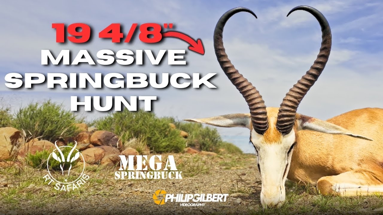 Hunting HUGE Springbuck a WORLD RECORD - MEGA SPRINGBUCK and RT SAFARIS