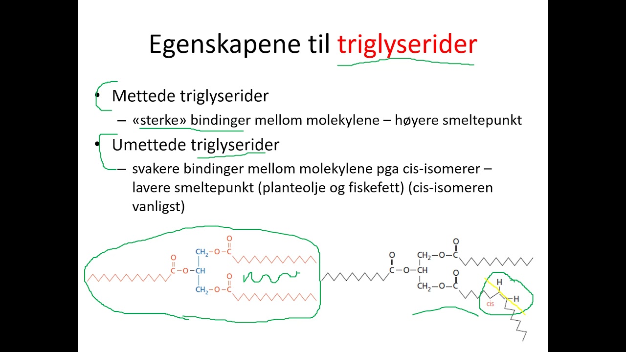 Kjemi 2 - Næringsstoffer lipider