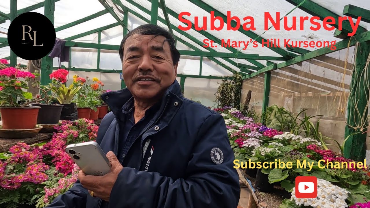 Subba Nursery St. Mary's Hill Kurseong