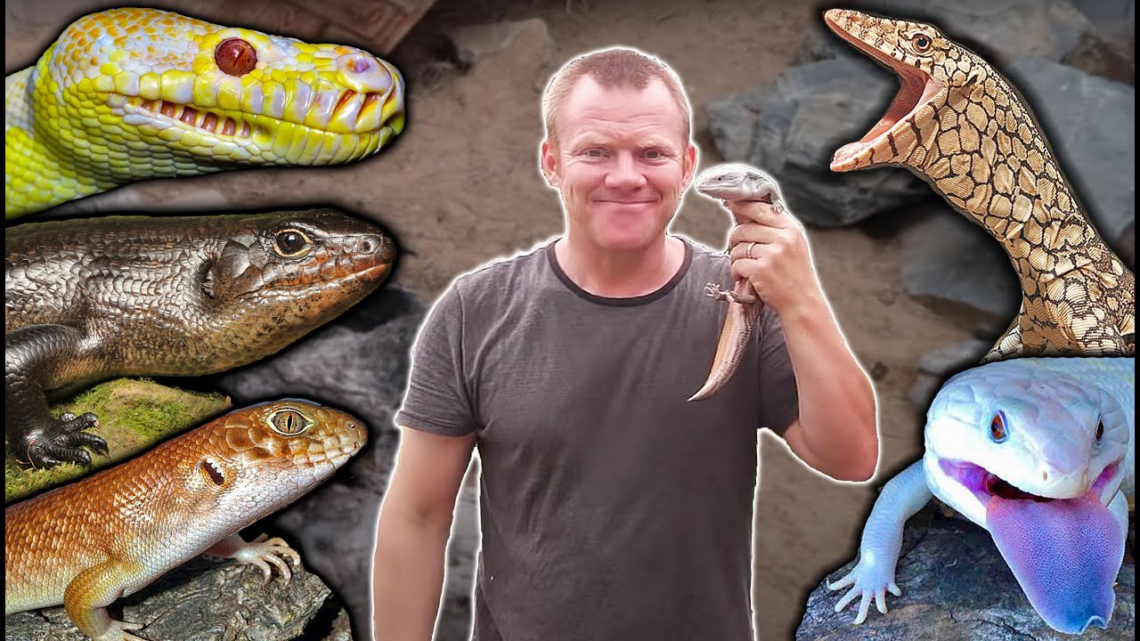 KEEPERS COLLECTIONS: Episode 5 - Joe Ball