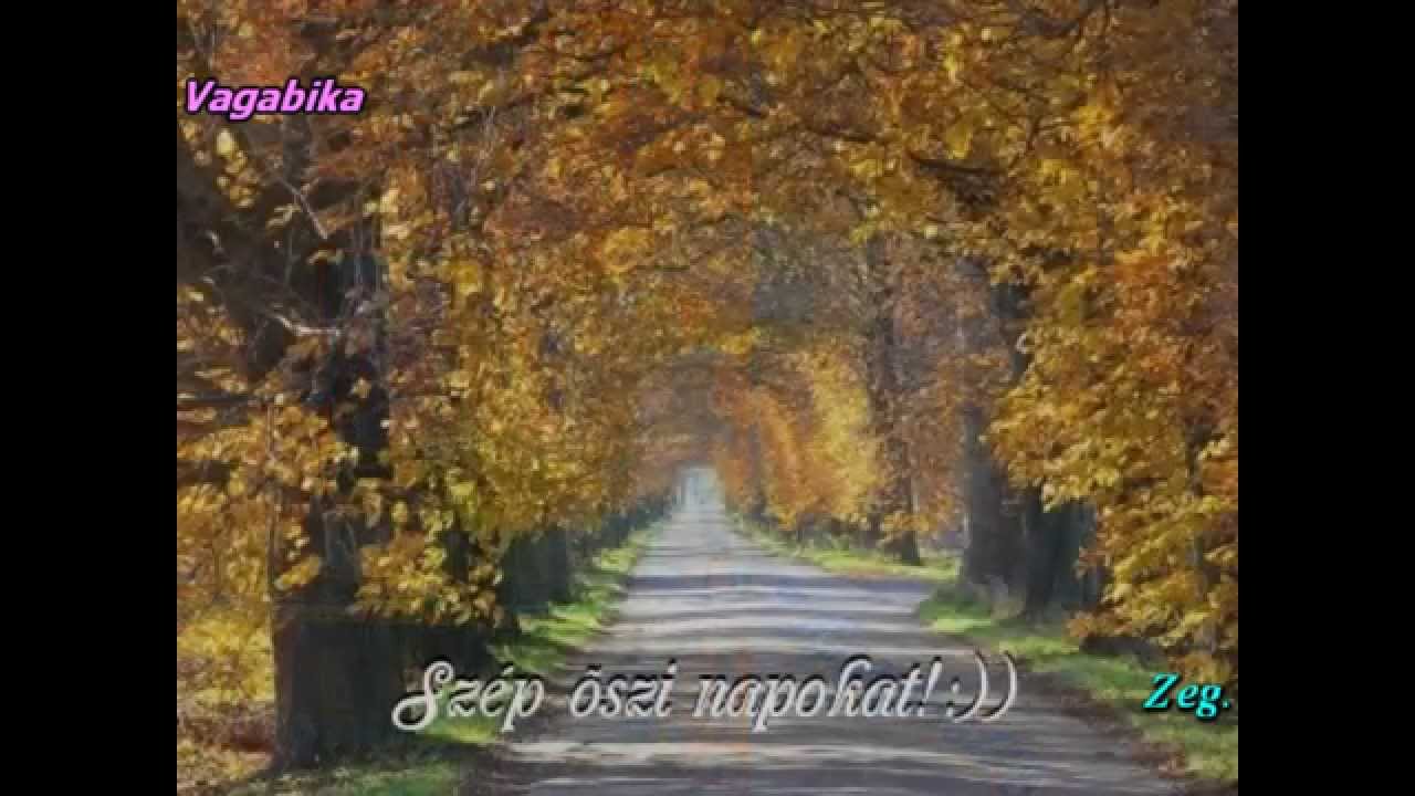 ÖREGFIÚ DALA   VAGABIKÁVAL avi
