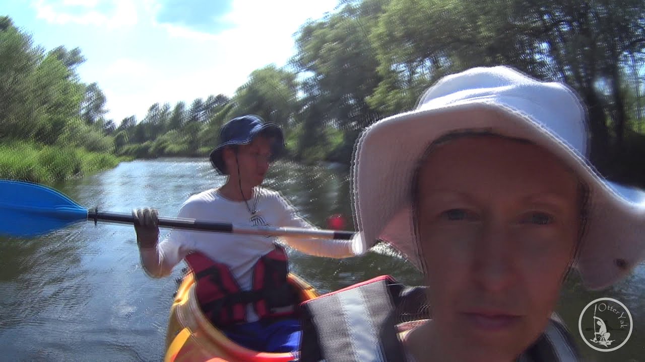 flying dragonflies / ressa river