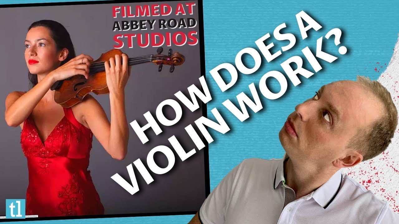 How does a violin work?