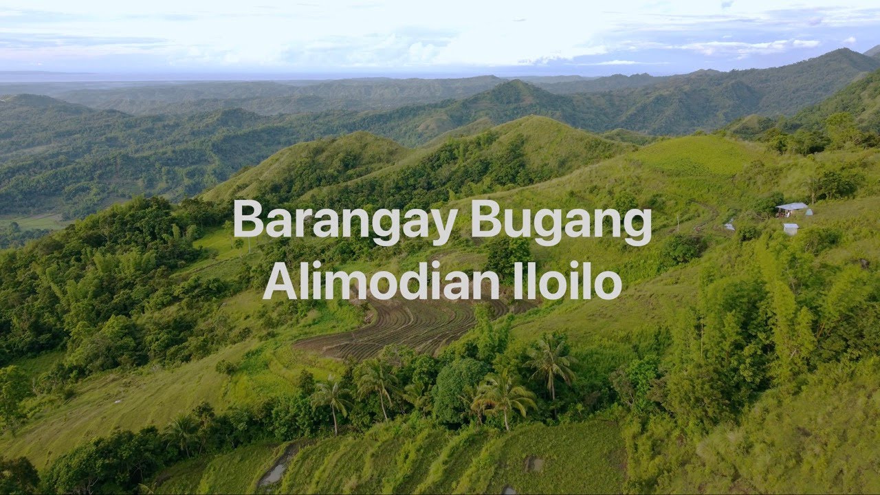 Barangay Bugang Alimodian Iloilo Drone shot (4K)