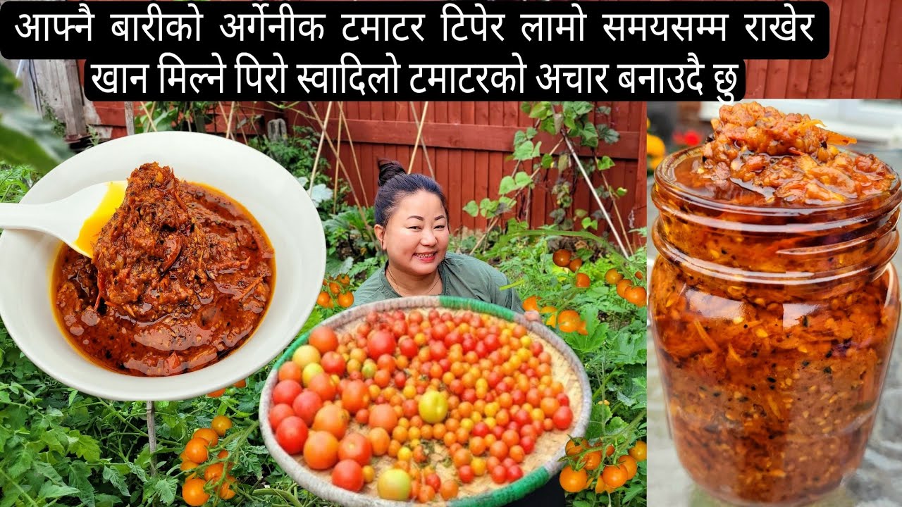 दशैँमा खानको लागी स्वादिलो Organic टमाटरको अचार | Tamatarko Achar Recipe | Anita Healing Garden 