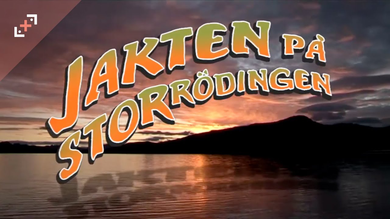Jakten på storrödingen