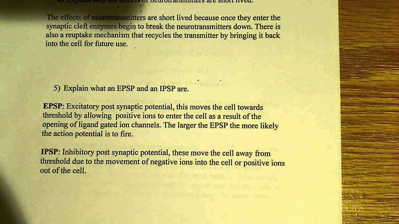 EPSP and IPSP