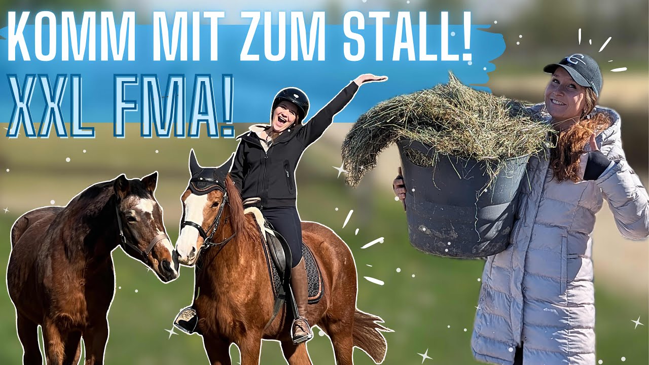 HINTER DEN KULISSEN! STALLVLOG 🤩🐴