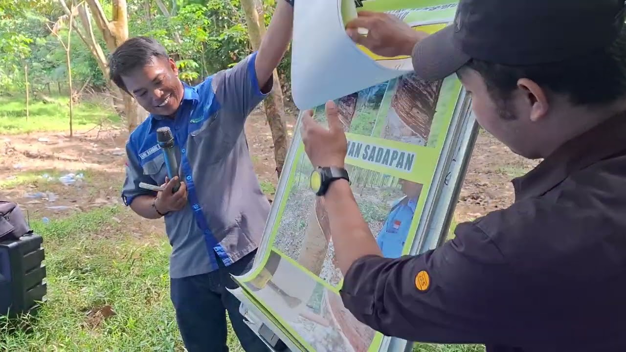 Rahasia Produksi Getah Karet: Cara Pakai Obat Perangsang yang Benar agar Pohon Tidak Mati Tegak!