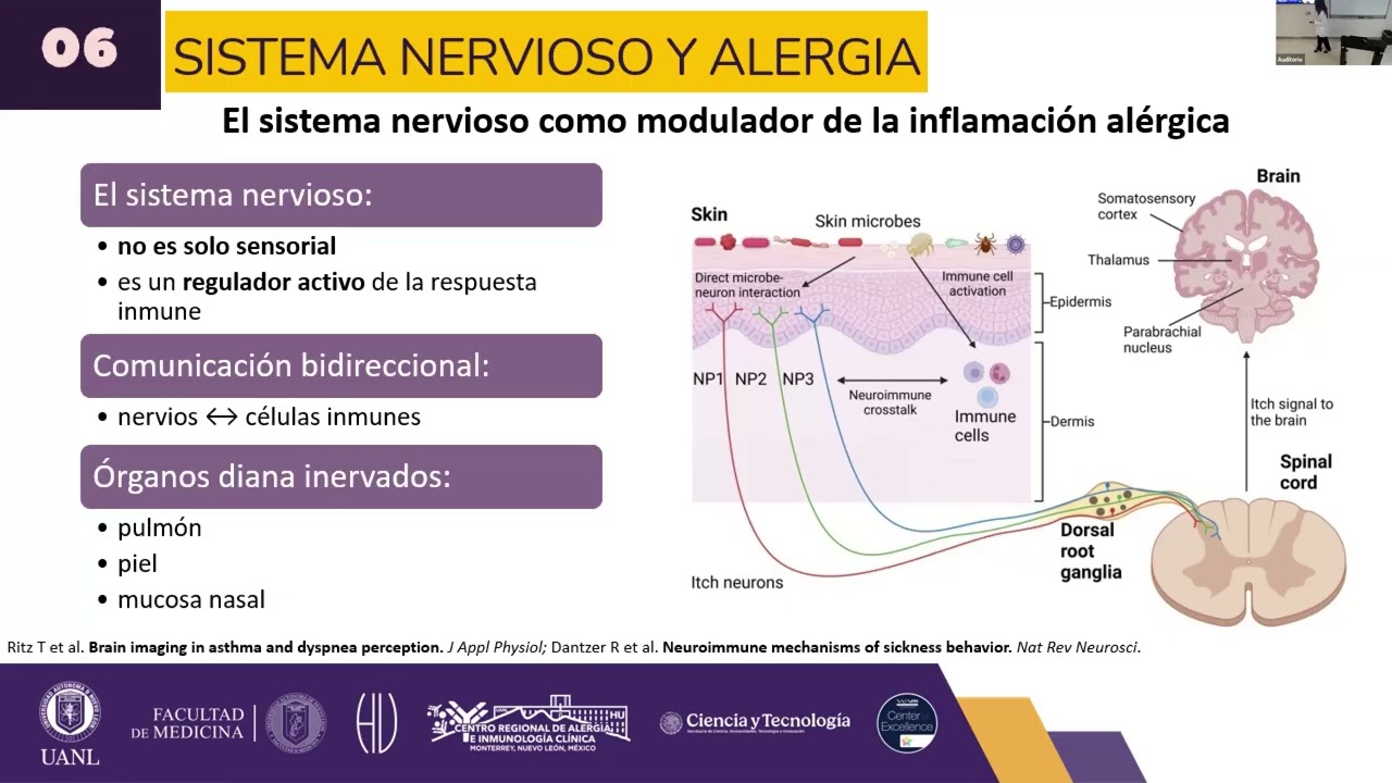 La intersección entre el estrés y las enfermedades alérgicas