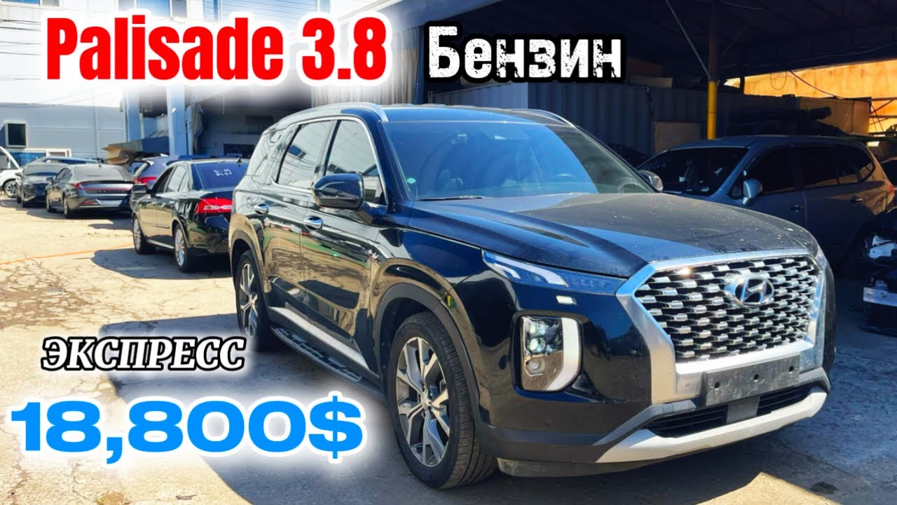 Palisade 3.8 БЕНЗИН || 🇰🇬🇰🇷 Focus trading