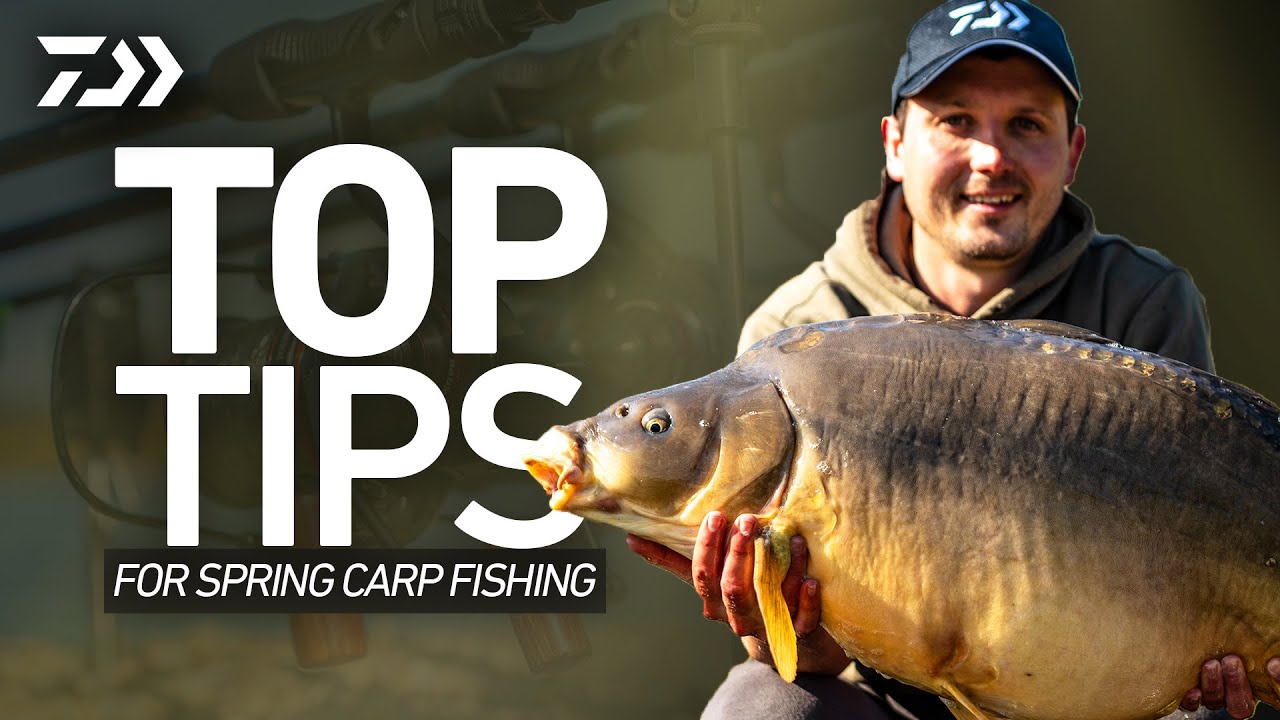 TOP TIPS for Spring carp fishing! | Lewis Swift | Daiwa Carp