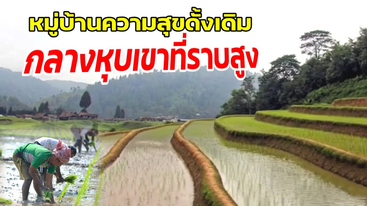 หมู่บ้านความสุขดั้งเดิม กลางหุบเขาที่ราบสูง