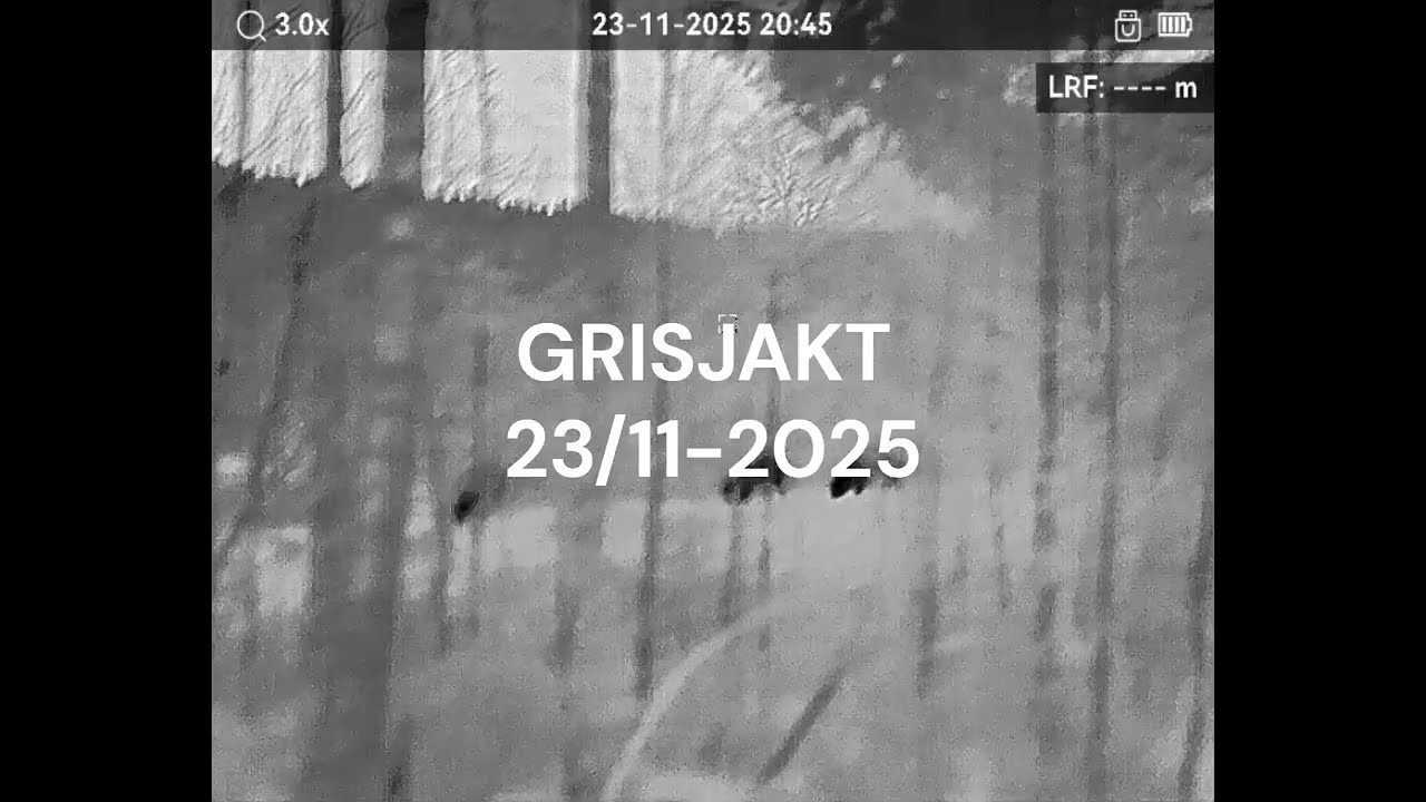 Vildsvinsjakt Hikmicro SQ50L 3.0, 2025-11-23