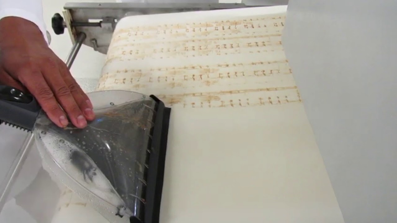 Steam Cleaning Conveyor Belt Cleaning
